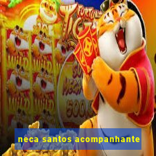 neca santos acompanhante